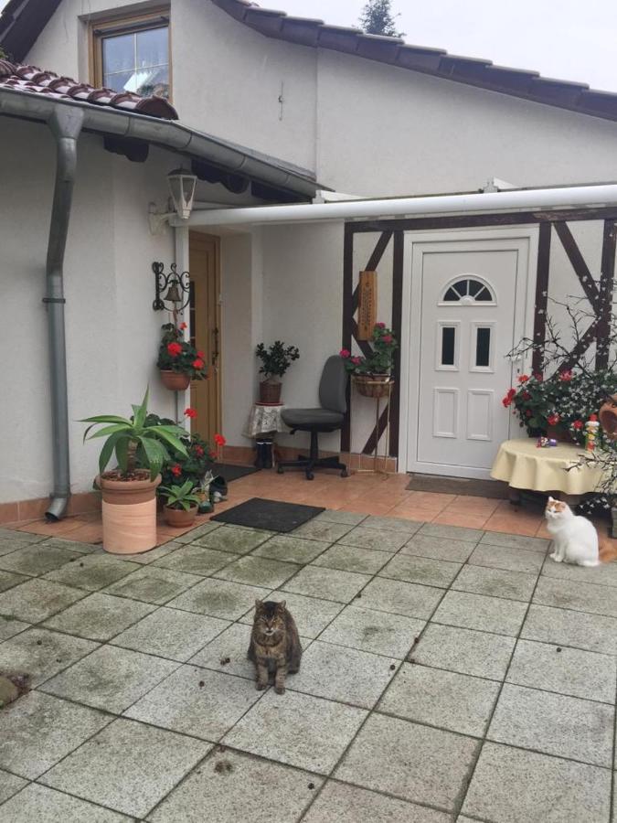 Kleines Haus Im Oderbruch Leilighet Neutrebbin Eksteriør bilde