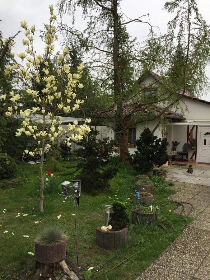 Kleines Haus Im Oderbruch Leilighet Neutrebbin Eksteriør bilde
