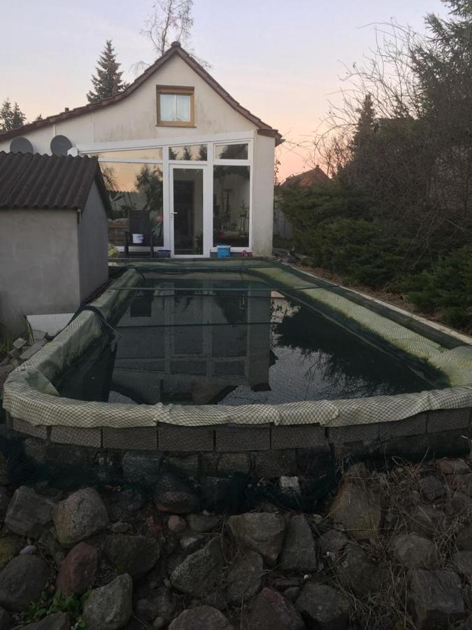 Kleines Haus Im Oderbruch Leilighet Neutrebbin Eksteriør bilde